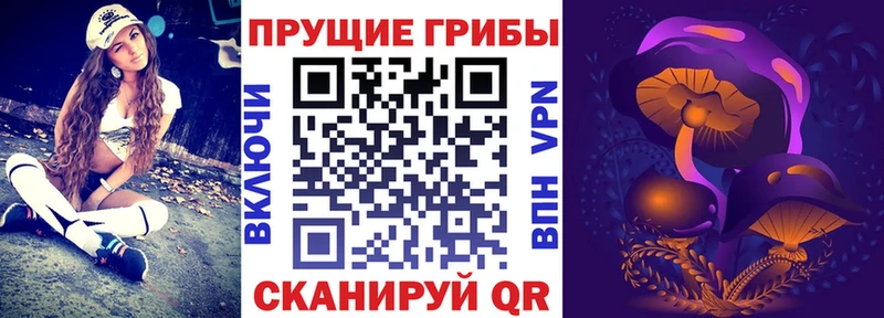 Галлюциногенные грибы прущие грибы  Ряжск 